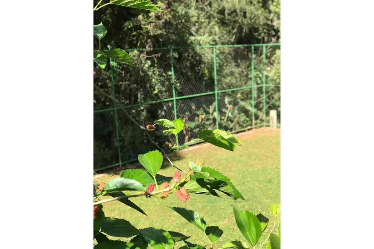 Casa Nas Montanhas Com Ofuro Villa Campos do Jordão Esterno foto
